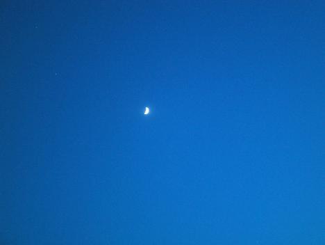 IMG_3353.jpg   7kb   26.03.2021 22:14:39