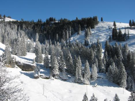 rigi014.jpg   37kb   26.03.2021 22:34:53