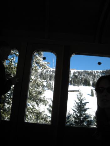 rigi021.jpg   18kb   26.03.2021 22:34:56