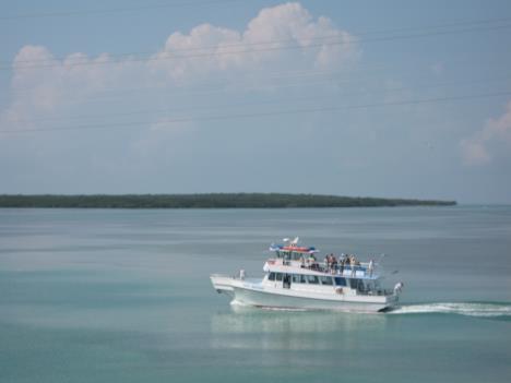 Florida062.jpg   9kb   26.03.2021 22:35:44