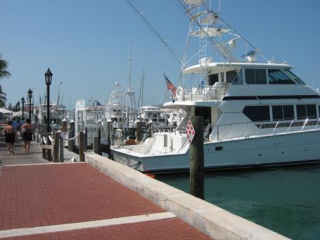 Florida117.jpg   24kb   26.03.2021 22:35:53