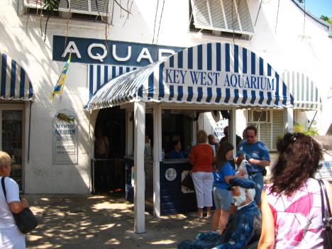 Florida126.jpg   37kb   26.03.2021 22:35:54