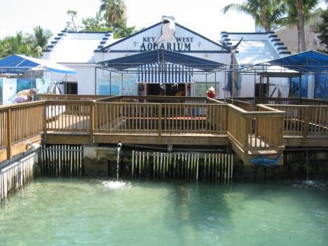 Florida144.jpg   34kb   26.03.2021 22:35:55