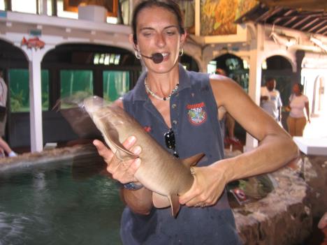 Florida152.jpg   26kb   26.03.2021 22:35:56