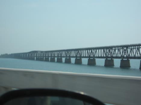 Florida185.jpg   10kb   26.03.2021 22:35:59