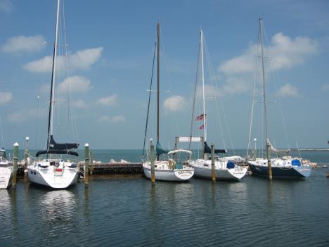 Florida190.jpg   20kb   26.03.2021 22:36:00