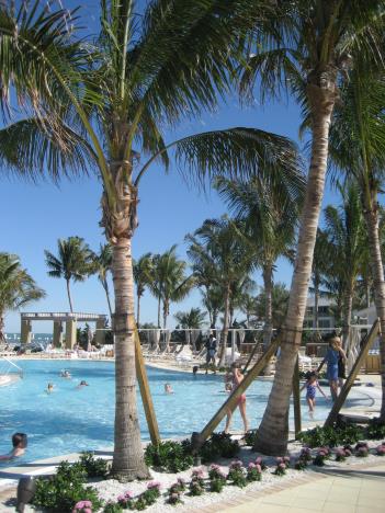 Florida271.jpg   43kb   26.03.2021 22:36:08