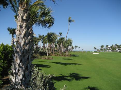 Florida278.jpg   28kb   26.03.2021 22:36:09