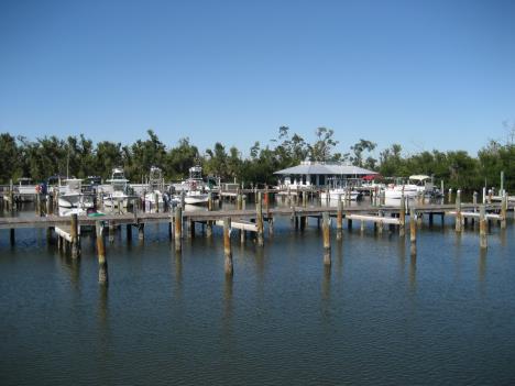 Florida292.jpg   22kb   26.03.2021 22:36:10