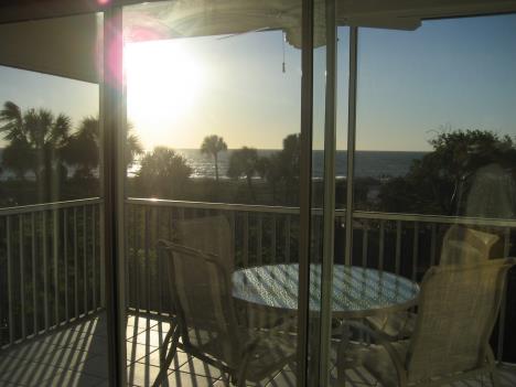 Florida299.jpg   20kb   26.03.2021 22:36:10