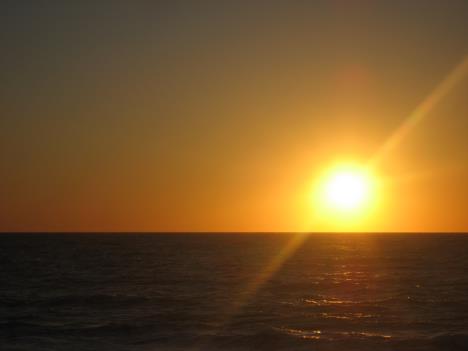 Florida304.jpg   8kb   26.03.2021 22:36:12
