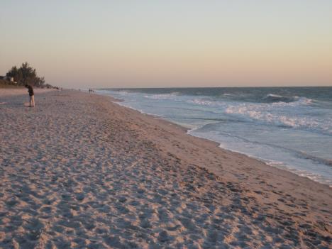 Florida307.jpg   23kb   26.03.2021 22:36:12