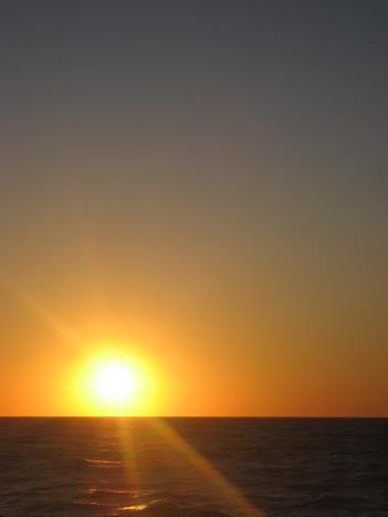 Florida311.jpg   7kb   26.03.2021 22:36:13