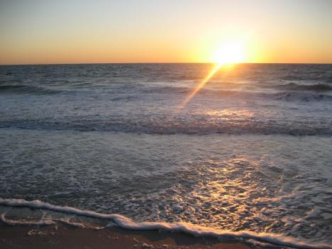 Florida316.jpg   25kb   26.03.2021 22:36:13
