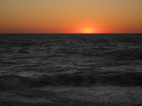 Florida335.jpg   15kb   26.03.2021 22:36:14