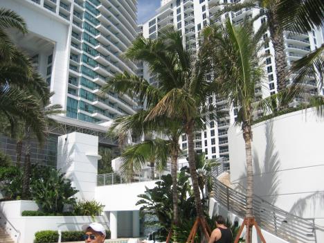 Florida376.jpg   42kb   26.03.2021 22:36:22