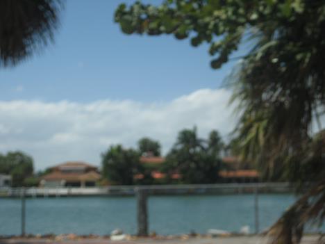 Florida436.jpg   15kb   26.03.2021 22:36:29