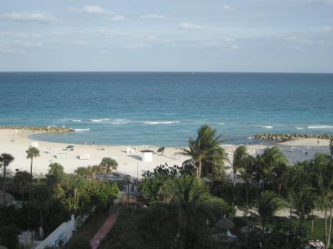 Florida451.jpg   20kb   26.03.2021 22:36:32
