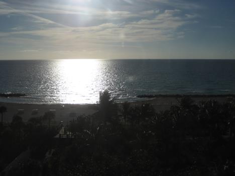 Florida465.jpg   13kb   26.03.2021 22:36:32
