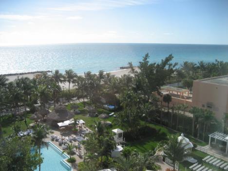 Florida469.jpg   25kb   26.03.2021 22:36:33